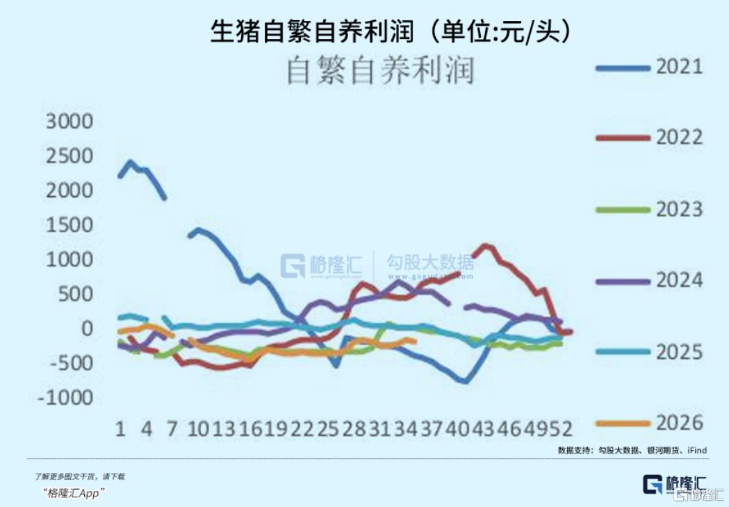 集体涨停！猪周期拐点真来了吗？