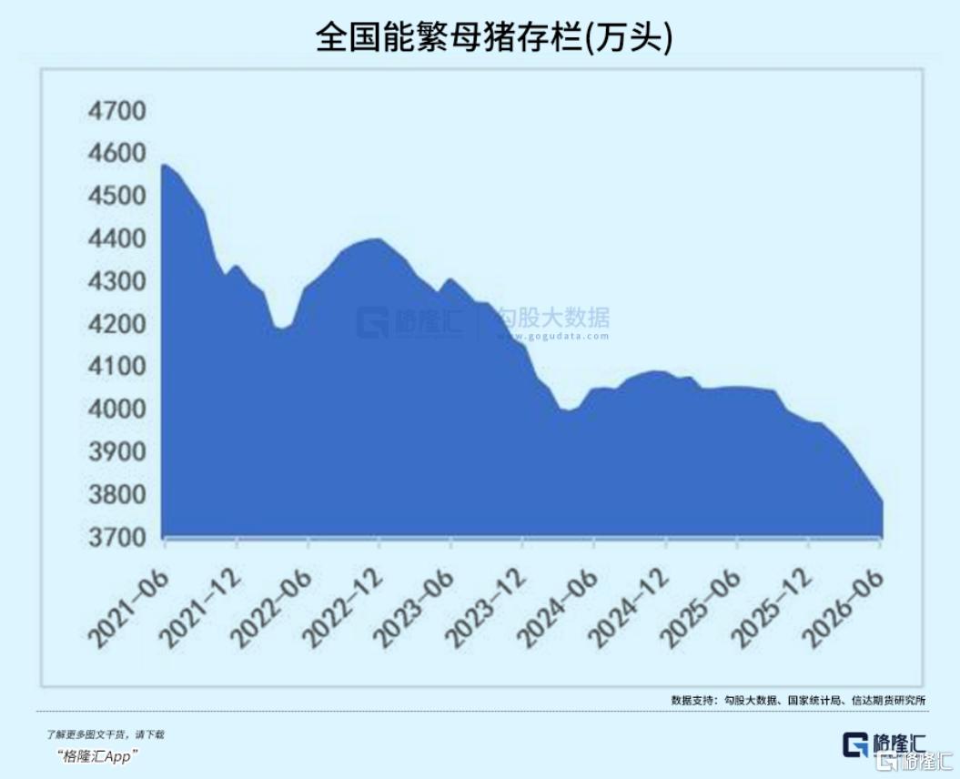 集体涨停！猪周期拐点真来了吗？