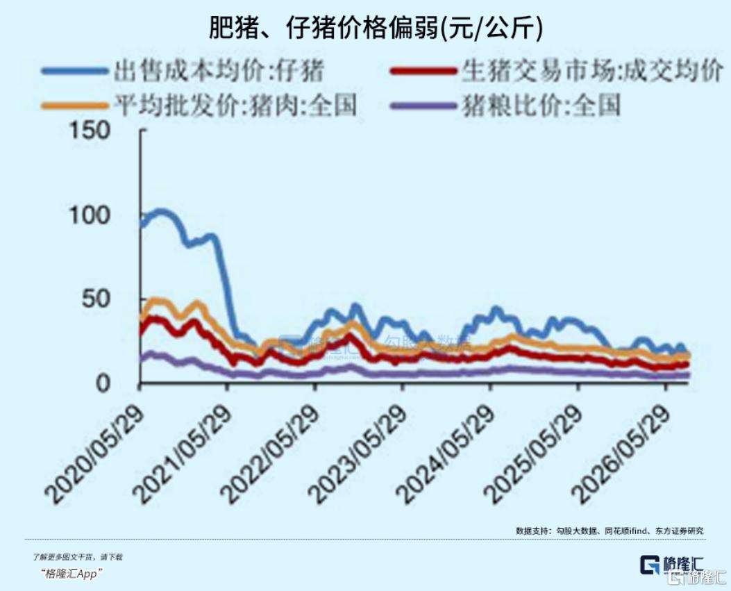 集体涨停！猪周期拐点真来了吗？