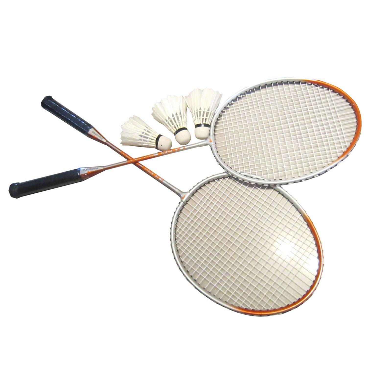 攀能羽毛球套装