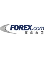 嘉盛英国有限公司