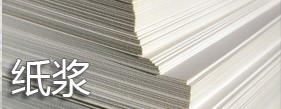 紙漿