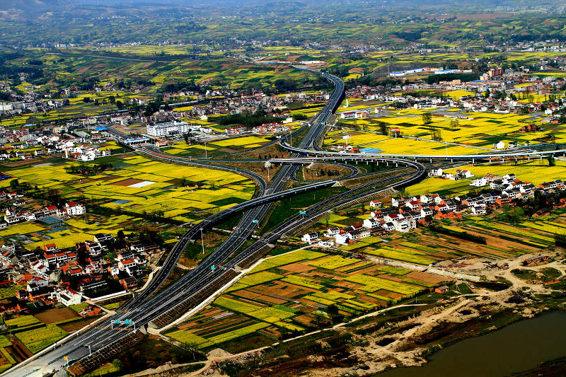 安康交通违章查询信息