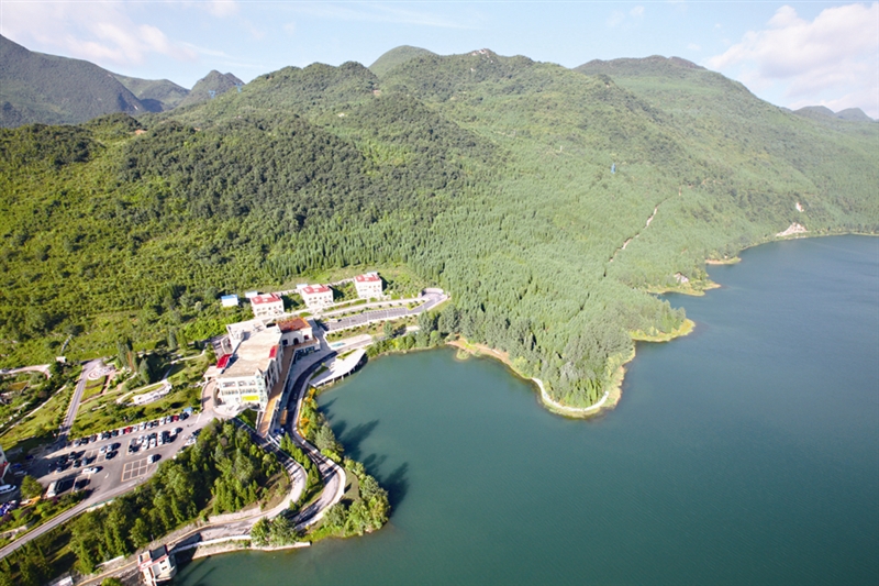 六盘水交通违章查询信息