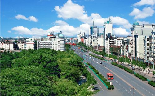 新余交通违章查询信息