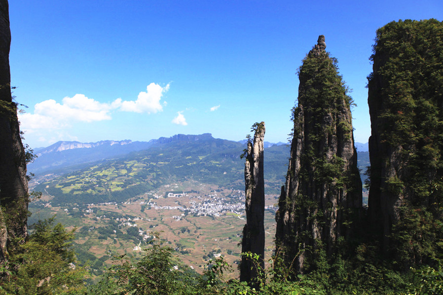 恩施交通违章查询信息