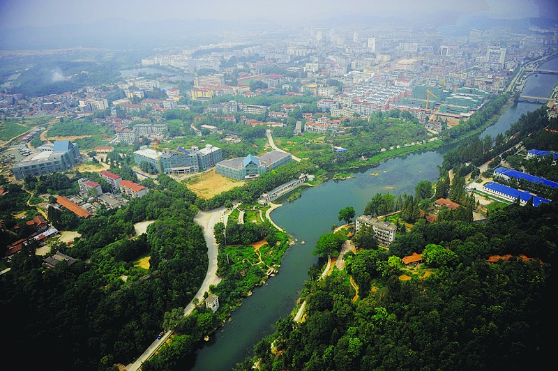 咸宁交通违章查询信息