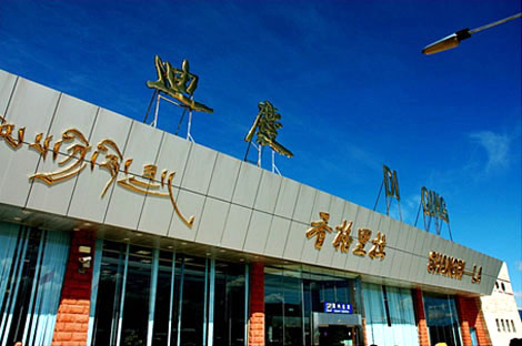 迪庆交通违章查询信息