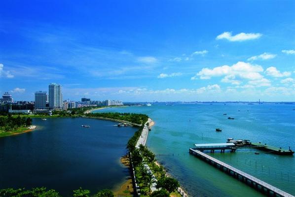 湛江交通违章查询信息