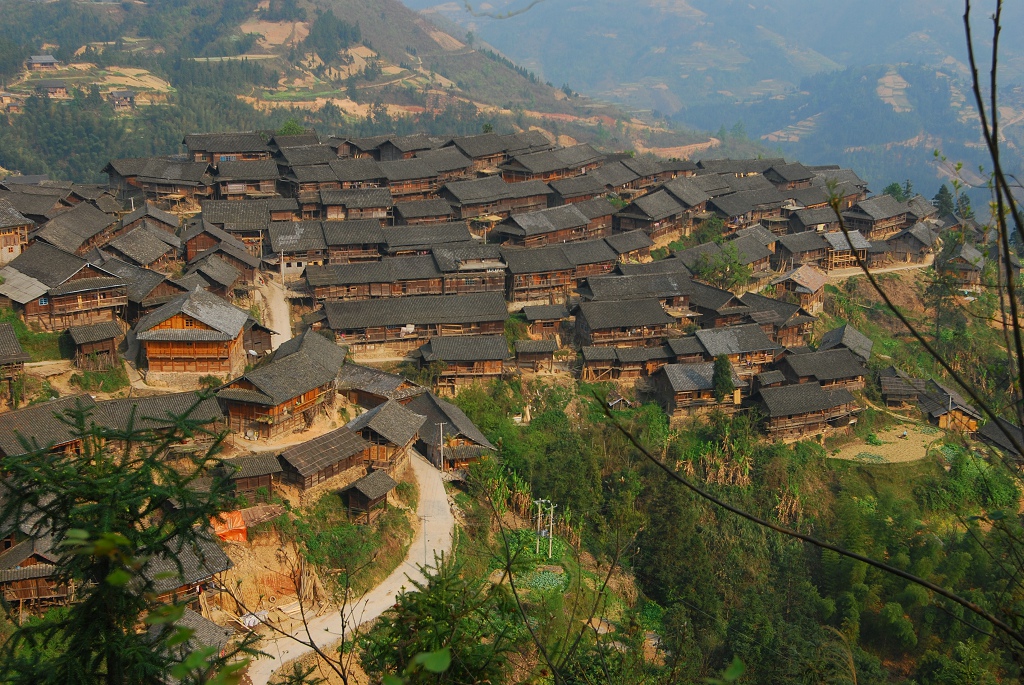 黔南交通违章查询信息