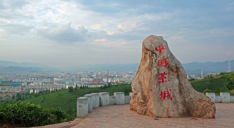 普洱交通违章查询信息