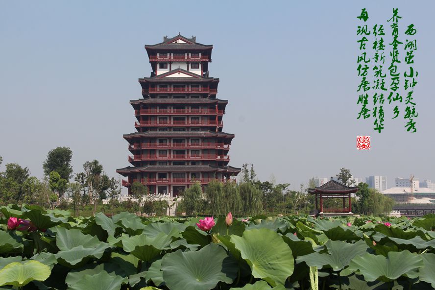 天门交通违章查询信息