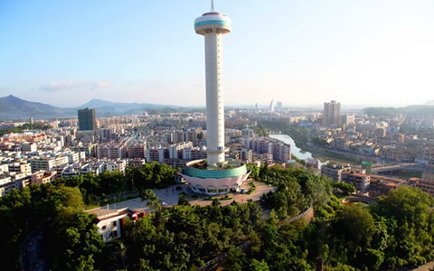 台山市交通违章查询信息