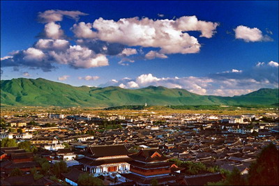 丽江交通违章查询信息