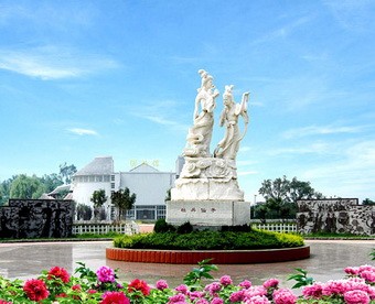 菏泽交通违章查询信息