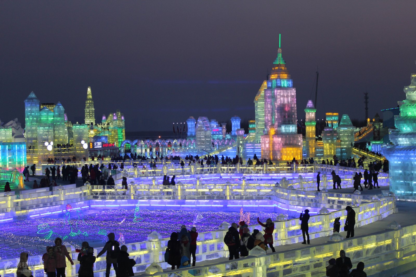 哈尔滨交通违章查询信息