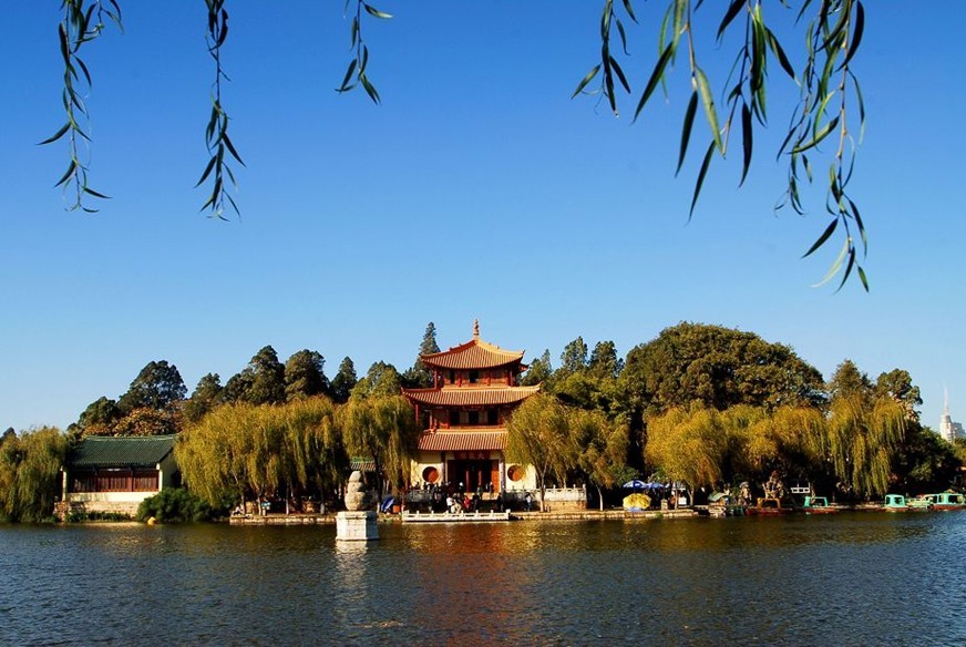 昆明交通违章查询信息