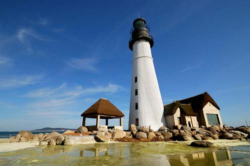 威海交通违章查询信息