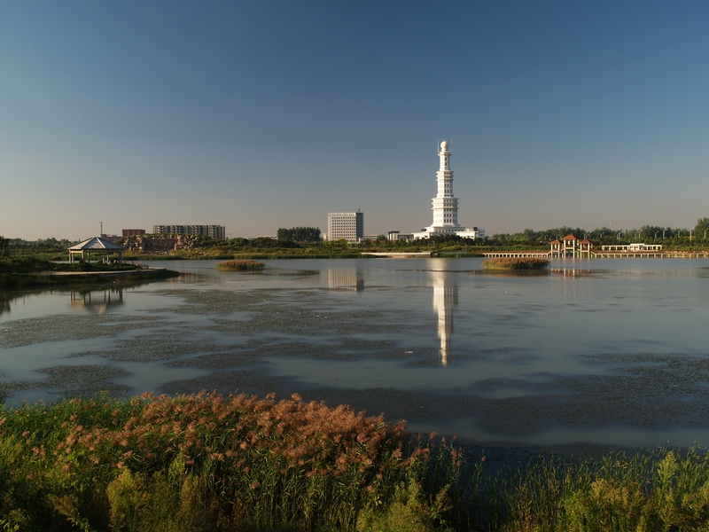 周口交通违章查询信息