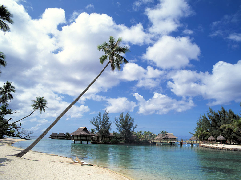 海南省交通违章查询信息