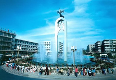 石嘴山交通违章查询信息