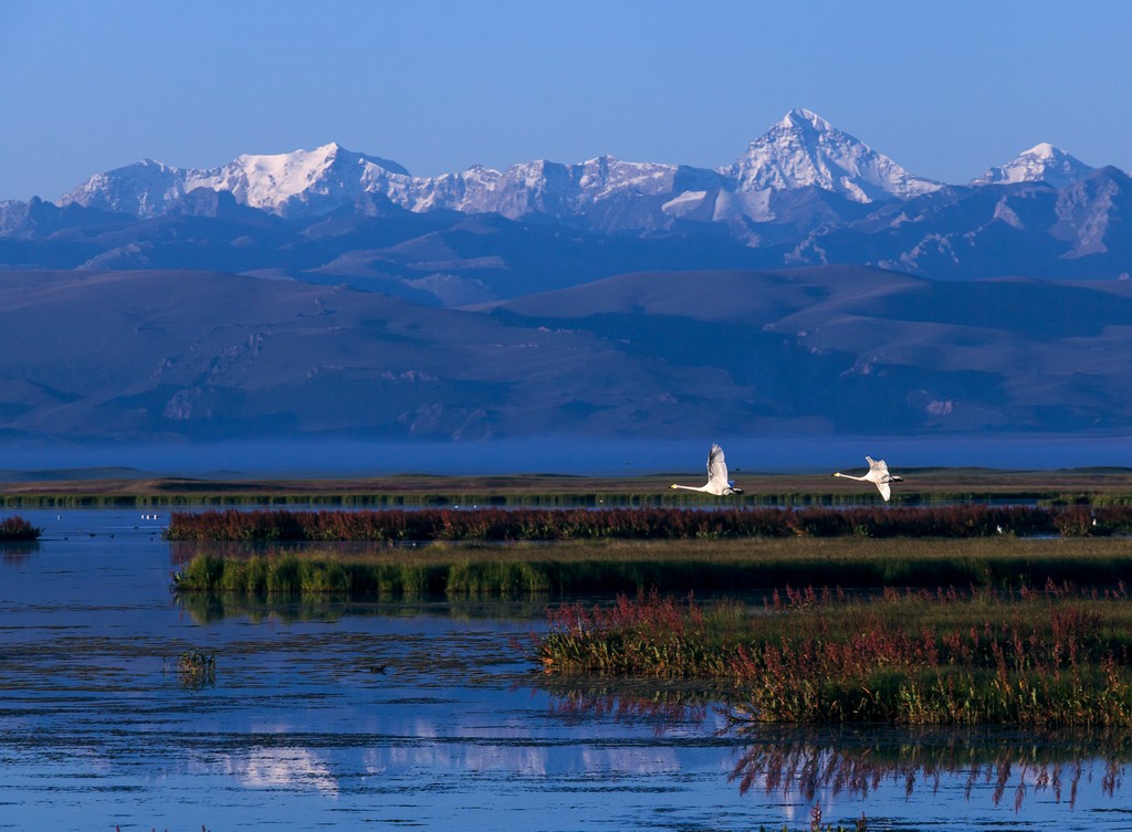 巴音郭楞州交通违章查询信息