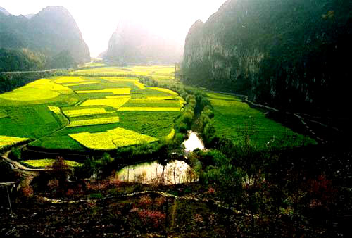 安顺交通违章查询信息