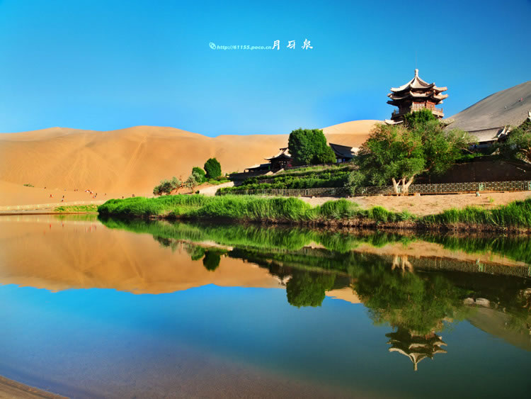 甘肃省交通违章查询信息