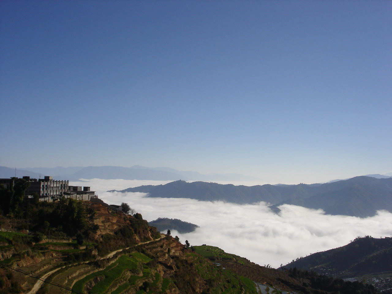 玉溪交通违章查询信息