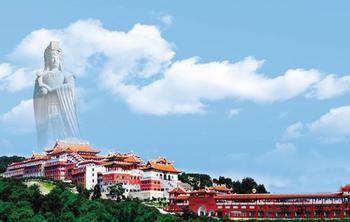 莆田交通违章查询信息