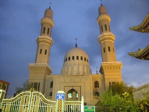 伊犁交通违章查询信息