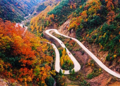 巴中交通违章查询信息