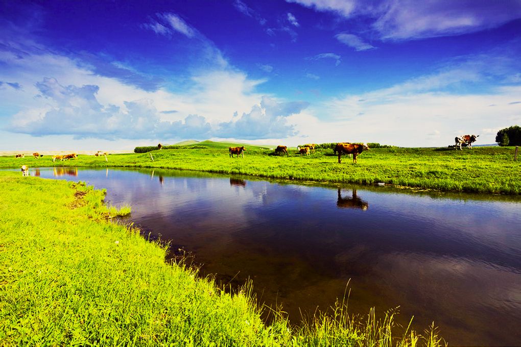 锡林郭勒盟交通违章查询信息