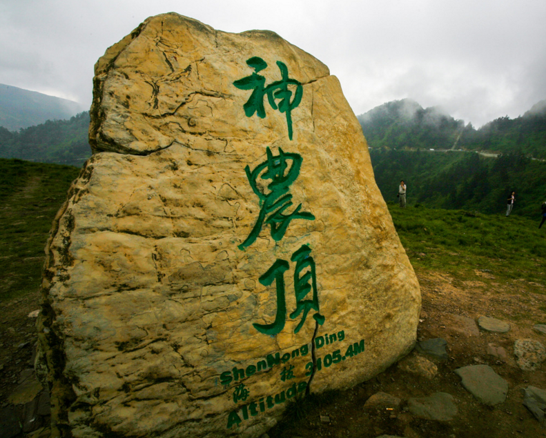 湖北省交通违章查询信息