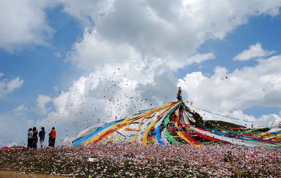 青海省交通违章查询信息