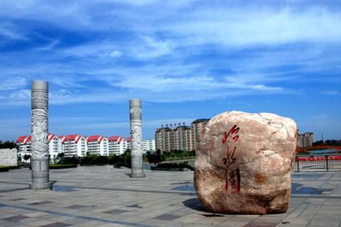 衡水交通违章查询信息