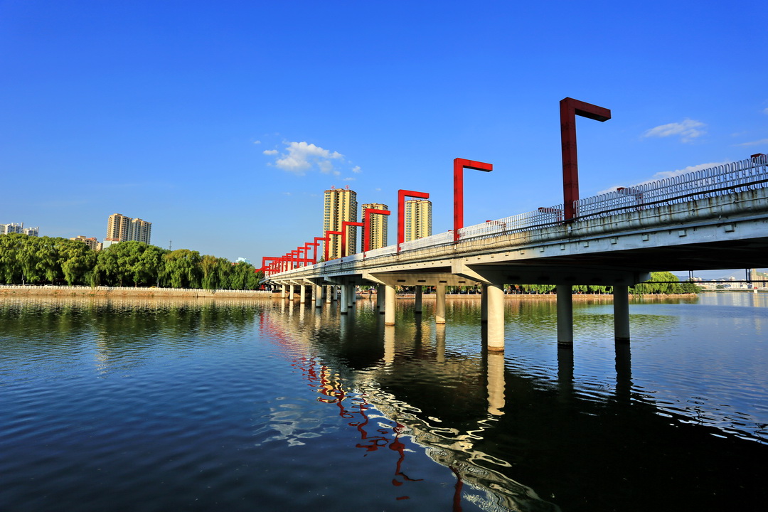 信阳交通违章查询信息