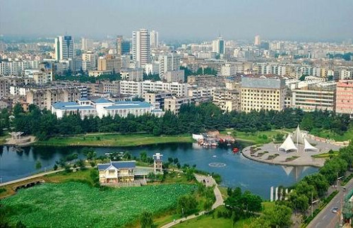 阜阳交通违章查询信息