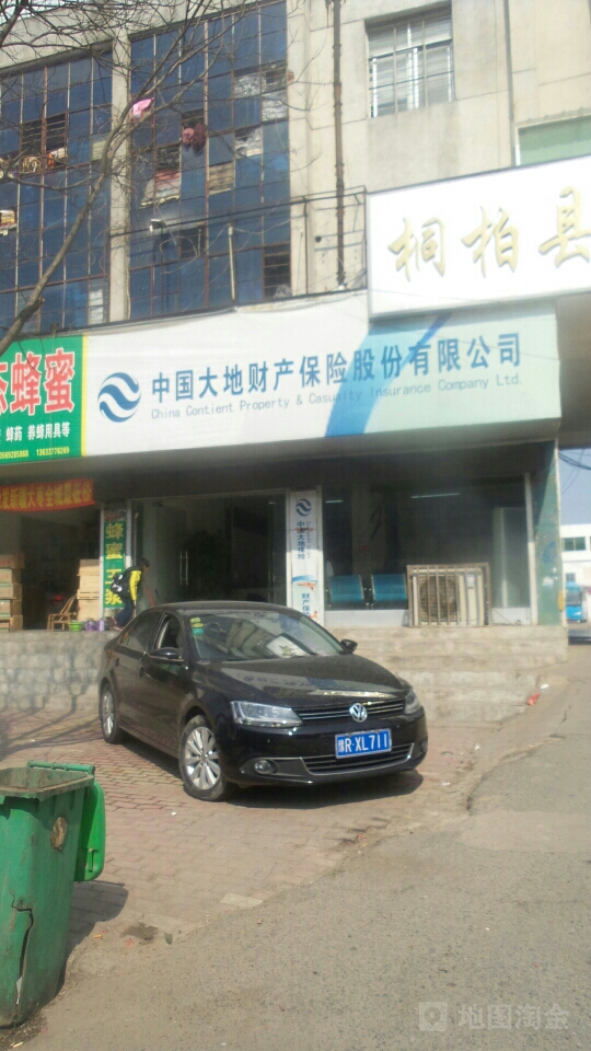 大地保险(桐柏营销服务部)