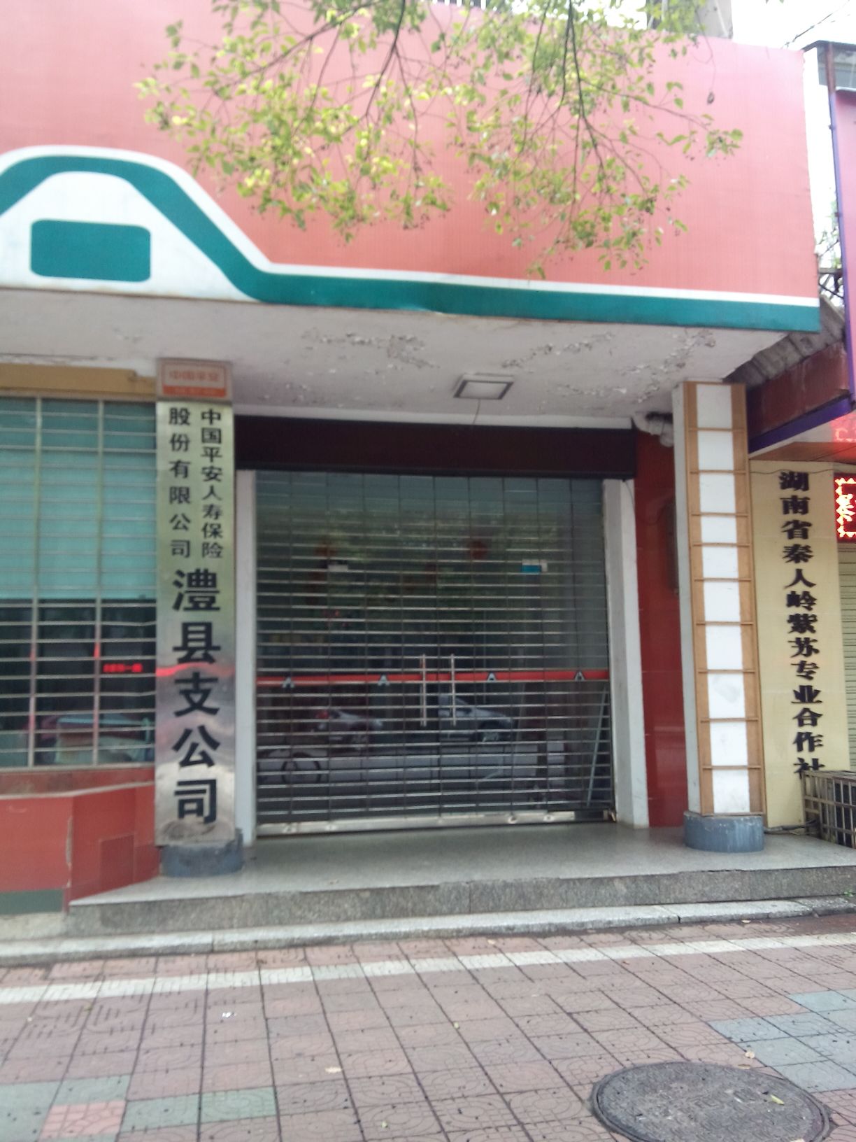 中国平安人寿(澧县支公司)