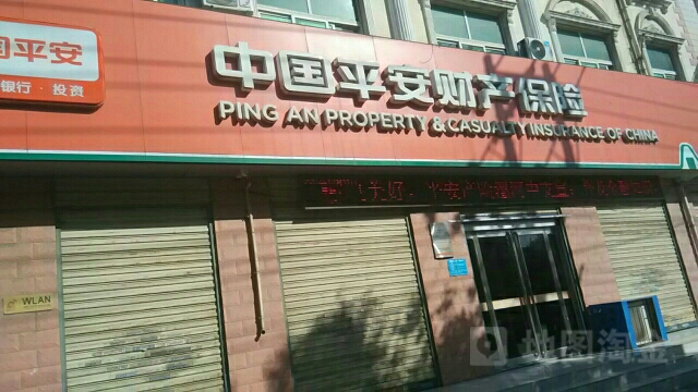 平安财险(漯河中心支公司)