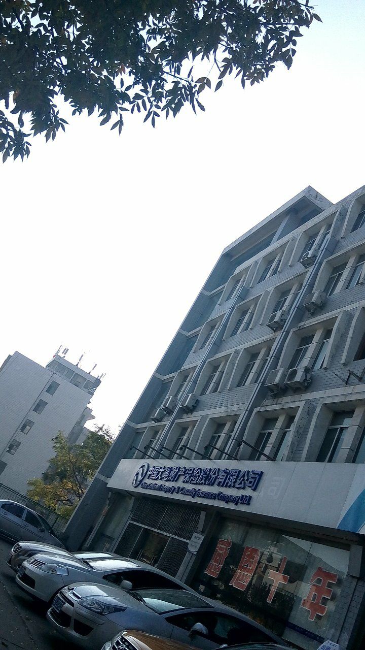 大地保险(泰安中心支公司)