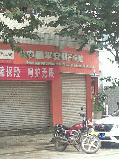 平安财险(凤庆营销部)