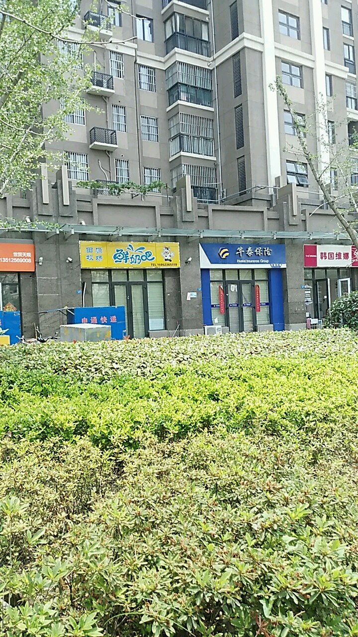 华泰保险(专属代理)