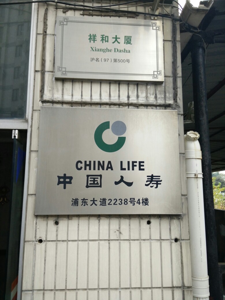 中国人寿(浦东大道营业部)