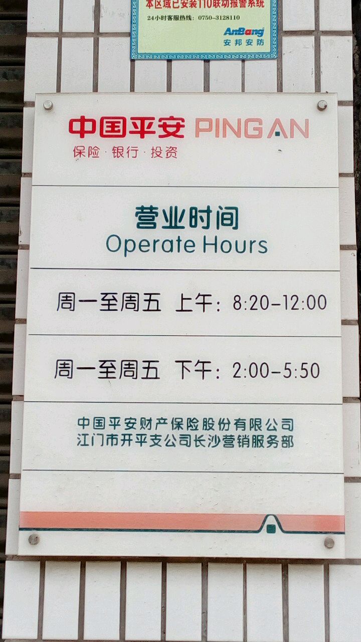 平安财险(江门市开平支公司长沙营销服务部)
