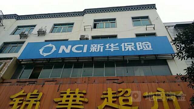 新华人寿(洞口营销部)