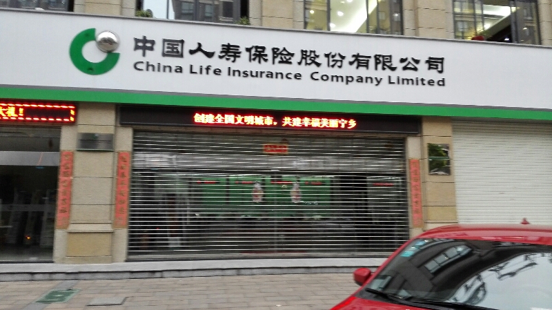 石家庄中国人寿保险 中国人寿保险车险