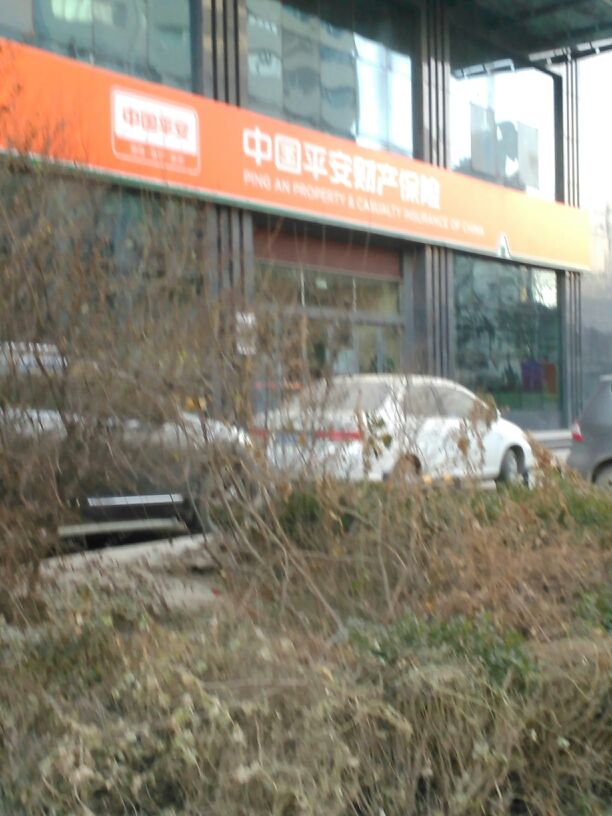 平安保险(甘肃分公司)