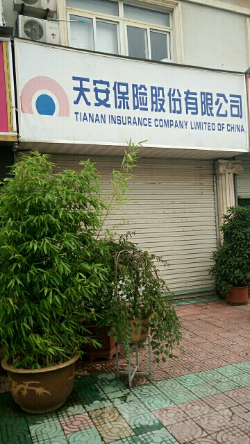 天安保险(芜湖县支公司)